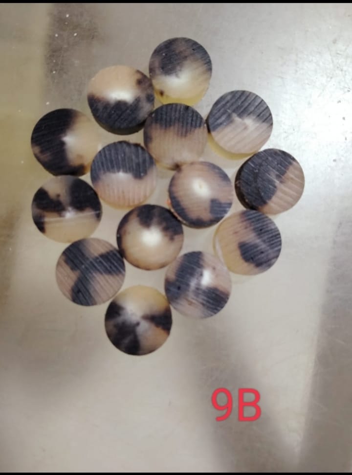 Ox Horn Colour Bottons - Image 9